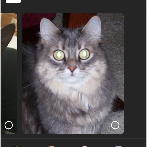 Meet your Posher, JeanMarie - Picture 10 of 10